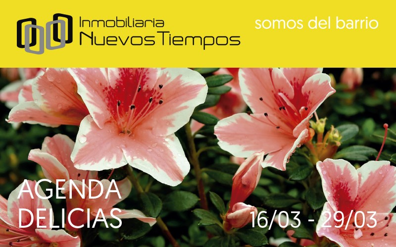 nosotros, inmobiliaria nuevos tiempos, delicias, barrio